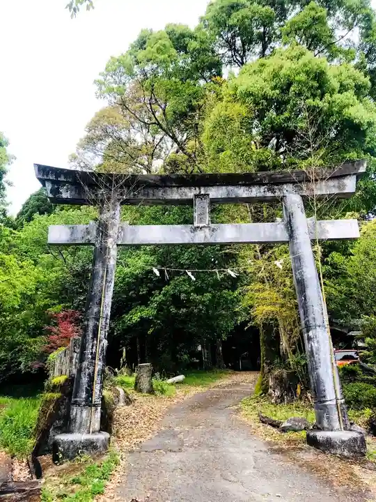 一宮神社の鳥居