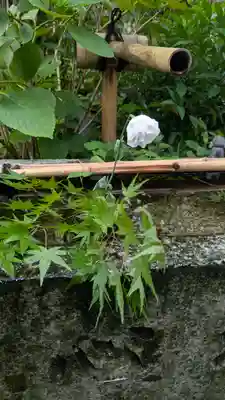 宝蔵寺(京都府)