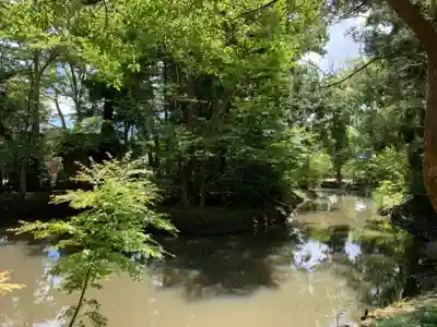 橘樹神社(千葉県)