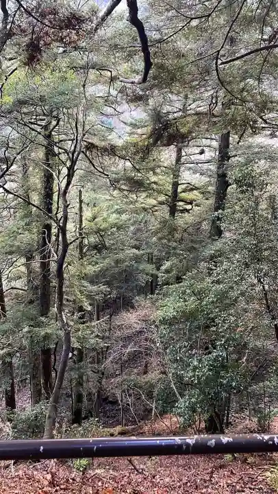 大山寺(神奈川県)