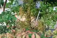 三津厳島神社(愛媛県)