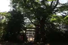 愛宕神社の鳥居