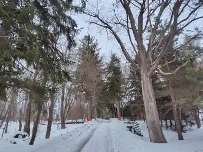 神楽神社(北海道)