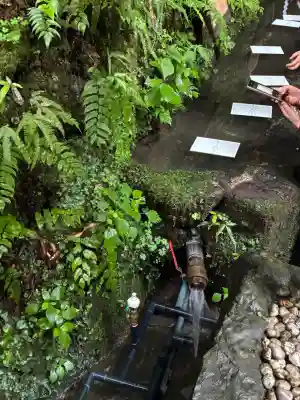 貴船神社の{uncategorized: "未分類", other: "その他", undefined: "問題あり", building: "その他建物", grave: "お墓", sacred_gate: "鳥居", guardian: "狛犬", statue: "像", buddha: "仏像", history: "歴史", nature: "自然", garden: "庭園", animal: "動物", pagoda: "塔", temizu: "手水舎", mountain_gate: "山門・神門", sanctuary: "本殿・本堂", subordinate: "末社・摂社", art: "芸術", scenery: "景色", jizo: "地蔵", ema: "絵馬", goshuin: "御朱印", omikuji: "おみくじ", items: "授与品その他", amulet: "お守り", goshuincho: "御朱印帳", eats: "食事", festival: "お祭り", votive_dance: "神楽", shichigosan: "七五三参", wedding: "結婚式", experience: "体験その他", initially: "初詣", around: "周辺", anti_infection: "感染症対策"}