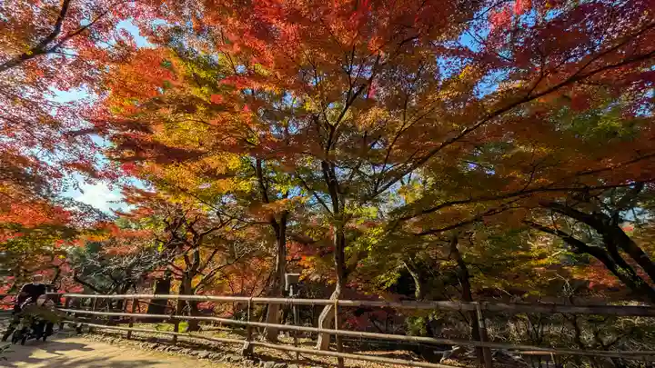 北野天満宮(京都府)