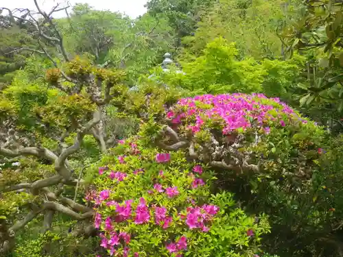 浄光明寺の庭園