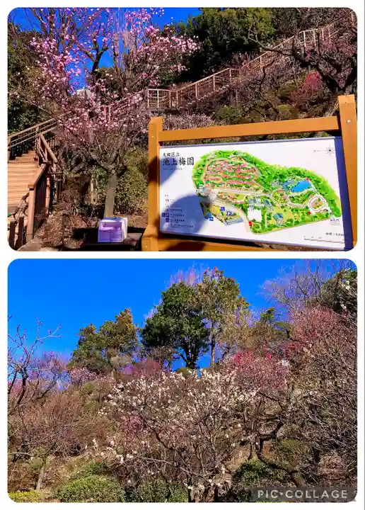 池上本門寺(東京都)