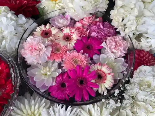 新川皇大神社の手水舎