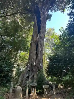 雷神社(千葉県)