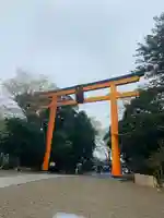 川越氷川神社(埼玉県)