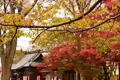 安禅寺(新潟県)