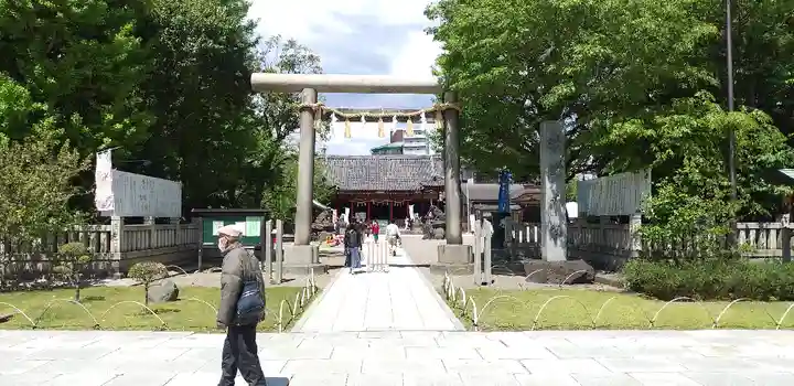 浅草神社の鳥居