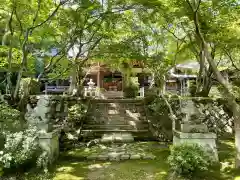 勝持寺（花の寺）の本殿