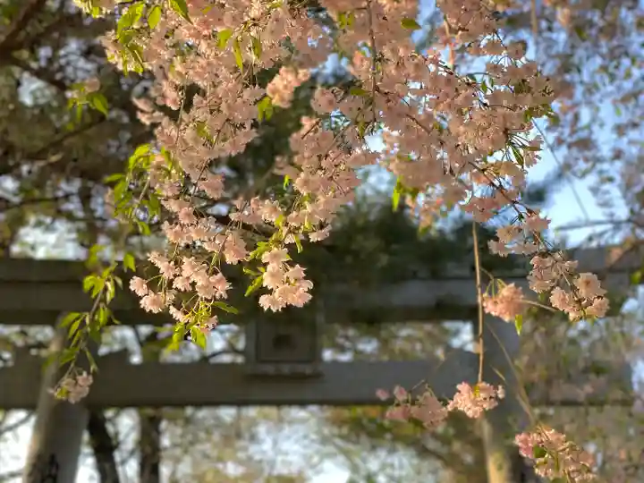 皆神神社の自然