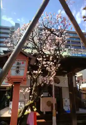 四谷於岩稲荷田宮神社(東京都)