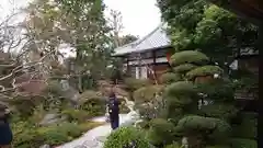 霊源院の庭園