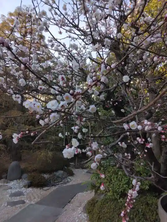 寿徳寺(神奈川県)
