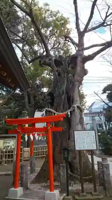 新田神社(東京都)