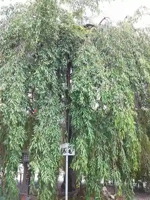 大報恩寺（千本釈迦堂）のその他建物