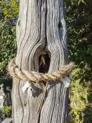 男山神社の自然