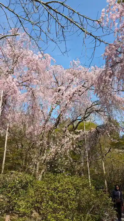 龍安寺(京都府)