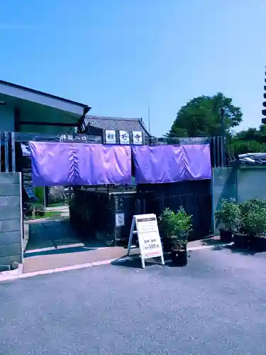 般若寺 ❁﻿コスモス寺❁(奈良県)