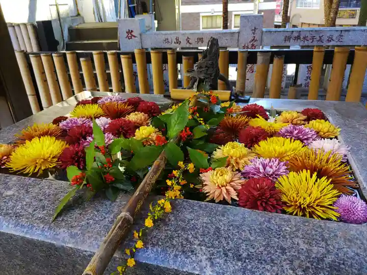 高円寺氷川神社(東京都)