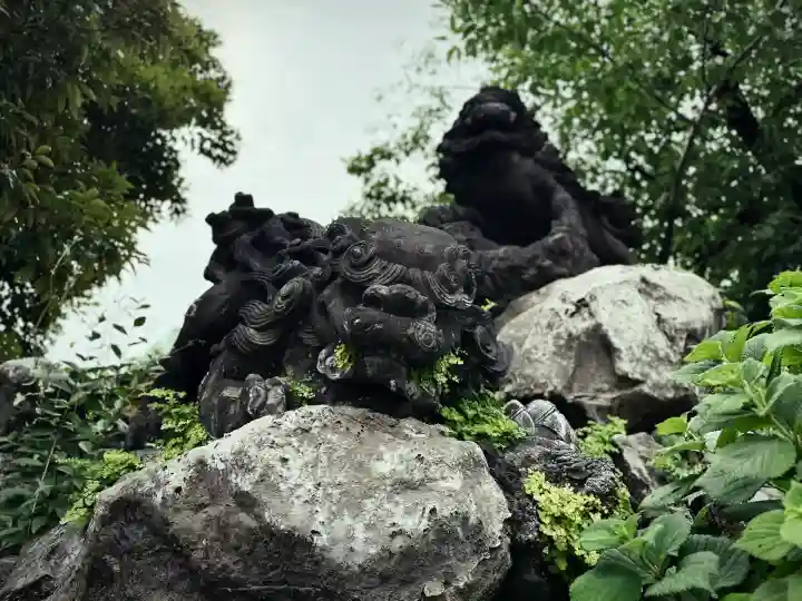 神田神社(神田明神)の狛犬