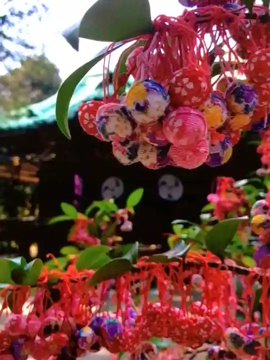 赤坂氷川神社(東京都)