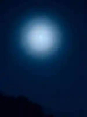 浄土寺(兵庫県)