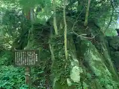 大神山神社奥宮の自然