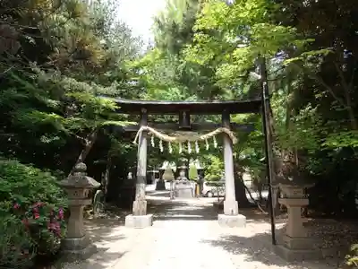 春日部八幡神社の鳥居