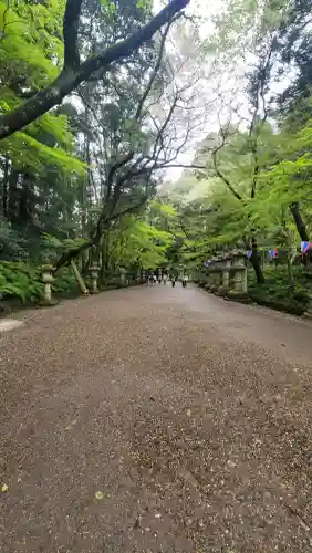 香取神宮の{uncategorized: "未分類", other: "その他", undefined: "問題あり", building: "その他建物", grave: "お墓", sacred_gate: "鳥居", guardian: "狛犬", statue: "像", buddha: "仏像", history: "歴史", nature: "自然", garden: "庭園", animal: "動物", pagoda: "塔", temizu: "手水舎", mountain_gate: "山門・神門", sanctuary: "本殿・本堂", subordinate: "末社・摂社", art: "芸術", scenery: "景色", jizo: "地蔵", ema: "絵馬", goshuin: "御朱印", omikuji: "おみくじ", items: "授与品その他", amulet: "お守り", goshuincho: "御朱印帳", eats: "食事", festival: "お祭り", votive_dance: "神楽", shichigosan: "七五三参", wedding: "結婚式", experience: "体験その他", initially: "初詣", around: "周辺", anti_infection: "感染症対策"}