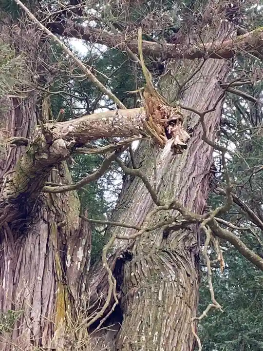 高岡神社(岡山県)