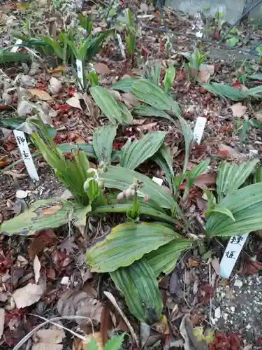 慶性院の庭園