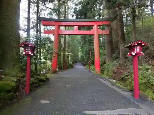 箱根神社の鳥居