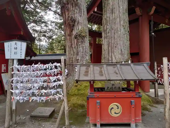 日光二荒山神社の自然