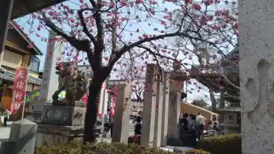 神館飯野高市本多神社(三重県)