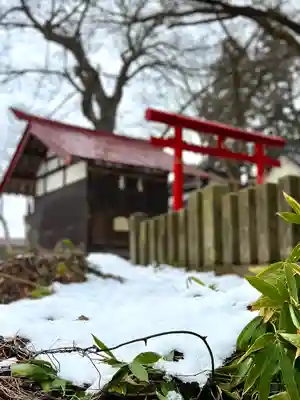 飯笠山神社の自然