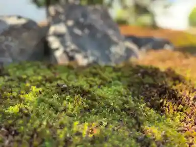 西方山極楽寺(岐阜県)