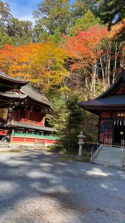 三峯神社(埼玉県)