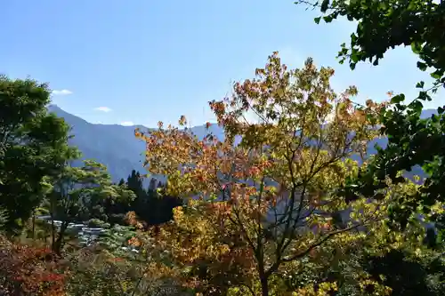 三峯神社の自然