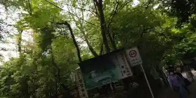 野宮神社(京都府)