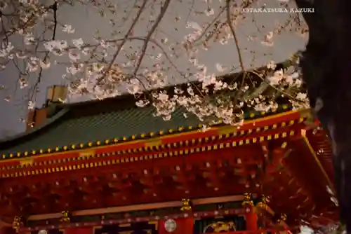 神田神社（神田明神）の自然