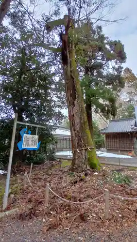 青海神社(福井県)