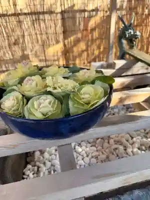 清瀧神社の{uncategorized: "未分類", other: "その他", undefined: "問題あり", building: "その他建物", grave: "お墓", sacred_gate: "鳥居", guardian: "狛犬", statue: "像", buddha: "仏像", history: "歴史", nature: "自然", garden: "庭園", animal: "動物", pagoda: "塔", temizu: "手水舎", mountain_gate: "山門・神門", sanctuary: "本殿・本堂", subordinate: "末社・摂社", art: "芸術", scenery: "景色", jizo: "地蔵", ema: "絵馬", goshuin: "御朱印", omikuji: "おみくじ", items: "授与品その他", amulet: "お守り", goshuincho: "御朱印帳", eats: "食事", festival: "お祭り", votive_dance: "神楽", shichigosan: "七五三参", wedding: "結婚式", experience: "体験その他", initially: "初詣", around: "周辺", anti_infection: "感染症対策"}