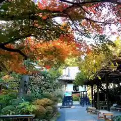 龍潭寺(静岡県)