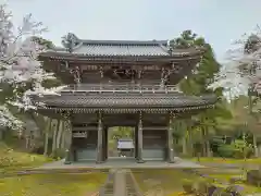 林泉寺の山門