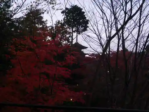 清水寺(京都府)