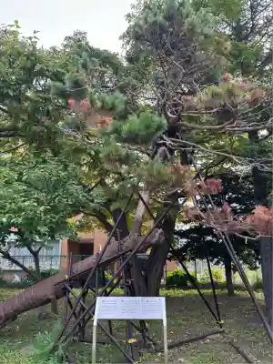 江南神社(北海道)